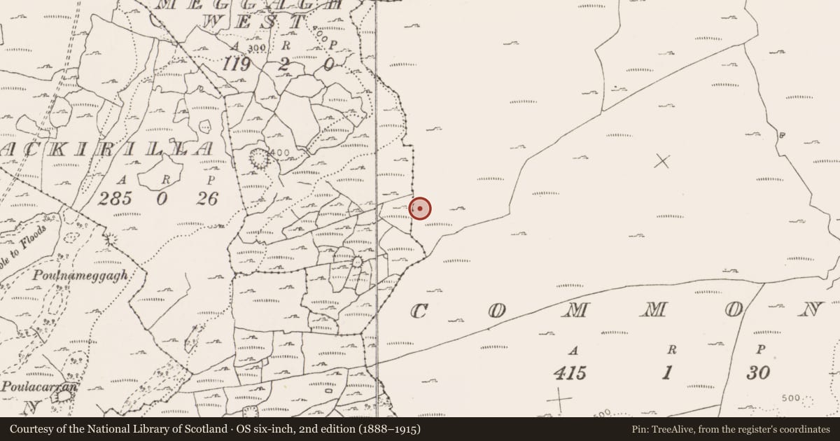 Ordnance Survey six-inch map, 2nd edition (1888–1915) covering the location of Enclosure, Commons, County Clare, with a pin at the register's coordinates