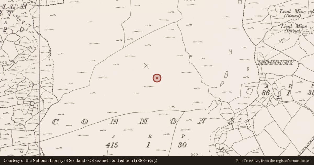 Ordnance Survey six-inch map, 2nd edition (1888–1915) covering the location of Enclosure, Commons, County Clare, with a pin at the register's coordinates