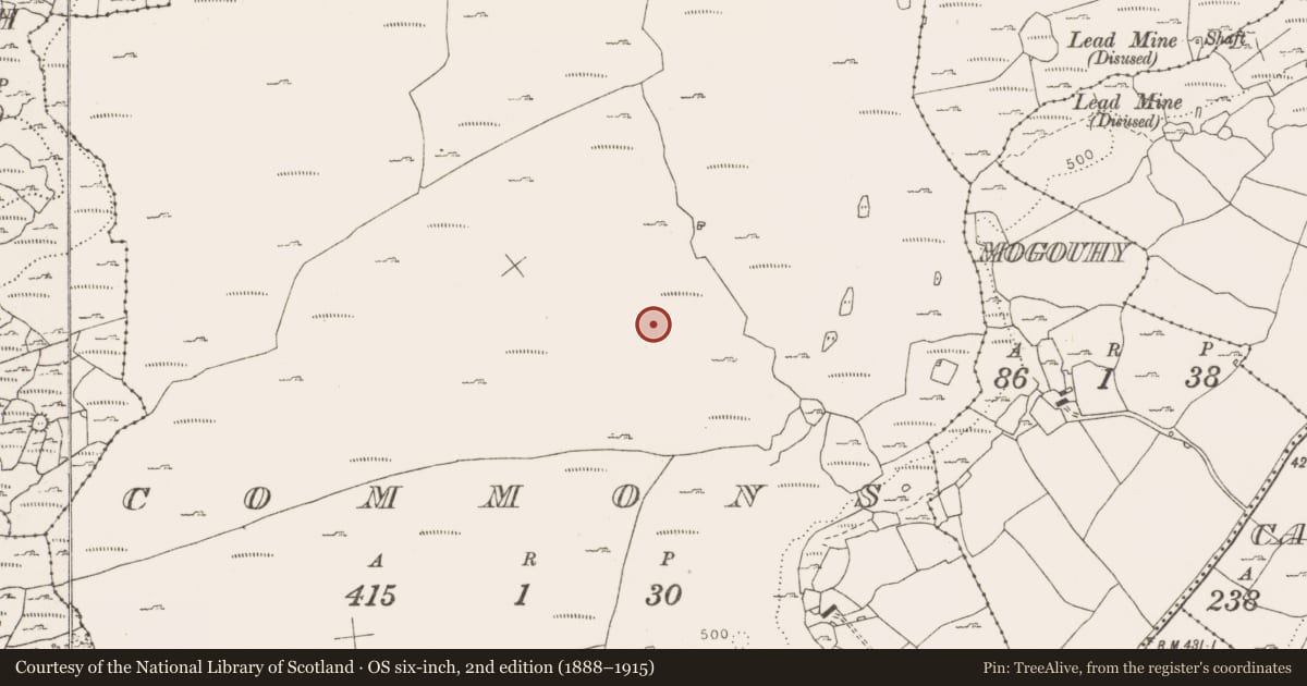 Ordnance Survey six-inch map, 2nd edition (1888–1915) covering the location of Enclosure, Commons, County Clare, with a pin at the register's coordinates