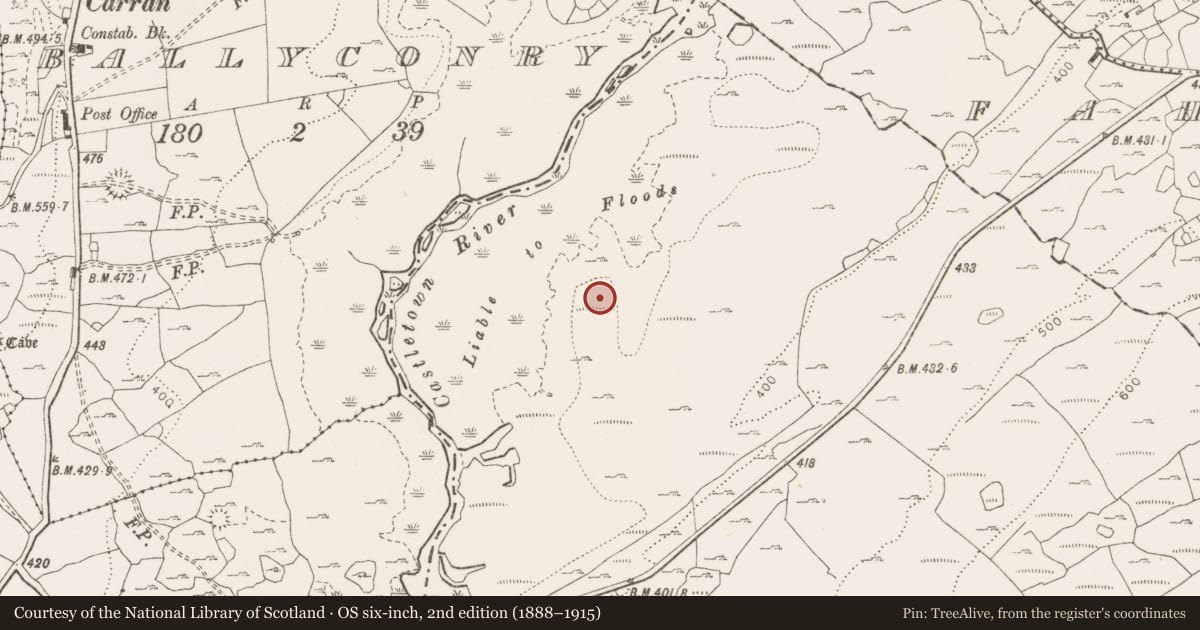 Ordnance Survey six-inch map, 2nd edition (1888–1915) covering the location of Enclosure, Tullycommon, County Clare, with a pin at the register's coordinates