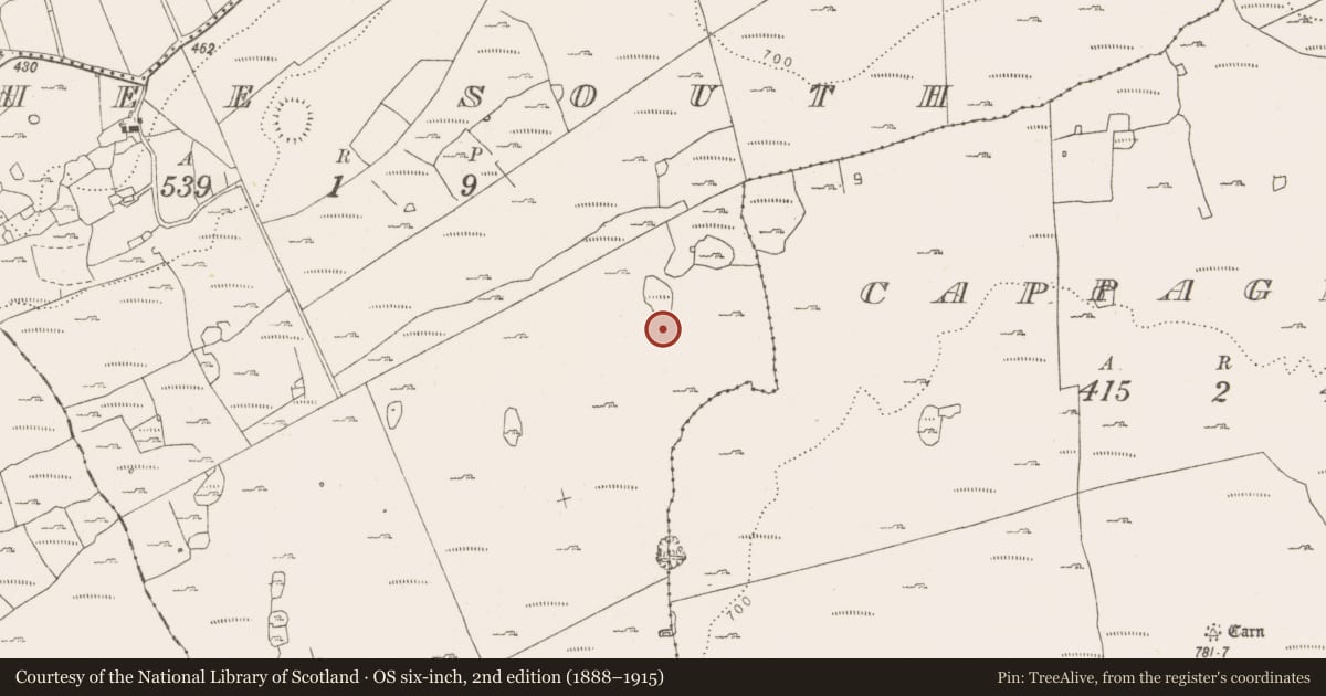 Ordnance Survey six-inch map, 2nd edition (1888–1915) covering the location of Enclosure, Fahee South, County Clare, with a pin at the register's coordinates