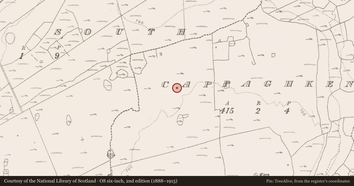 Ordnance Survey six-inch map, 2nd edition (1888–1915) covering the location of Enclosure, Cappaghkennedy, County Clare, with a pin at the register's coordinates