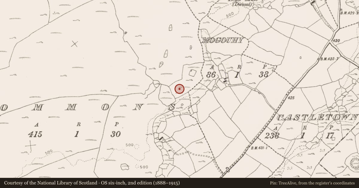 Ordnance Survey six-inch map, 2nd edition (1888–1915) covering the location of Hut site, Commons, County Clare, with a pin at the register's coordinates
