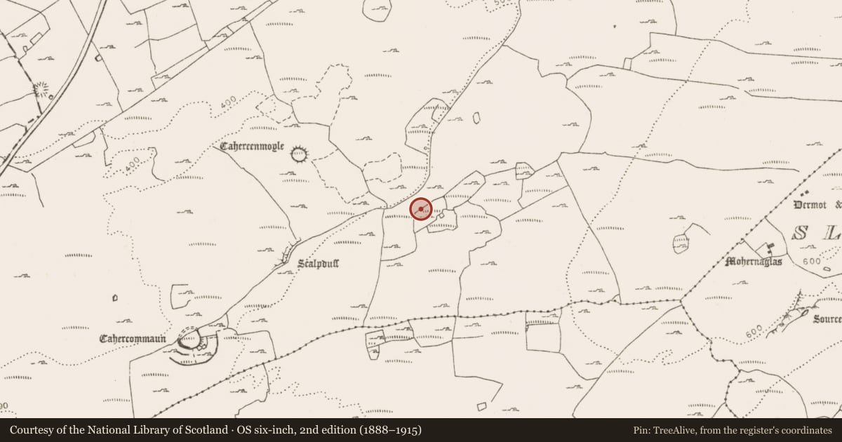 Ordnance Survey six-inch map, 2nd edition (1888–1915) covering the location of Ringfort - cashel, Tullycommon, County Clare, with a pin at the register's coordinates