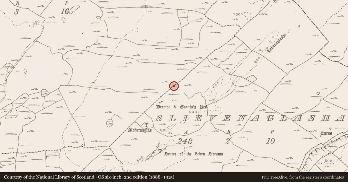 Ordnance Survey six-inch map, 2nd edition (1888–1915) covering the location of Enclosure, Tullycommon, Slievenaglasha, County Clare, with a pin at the register's coordinates