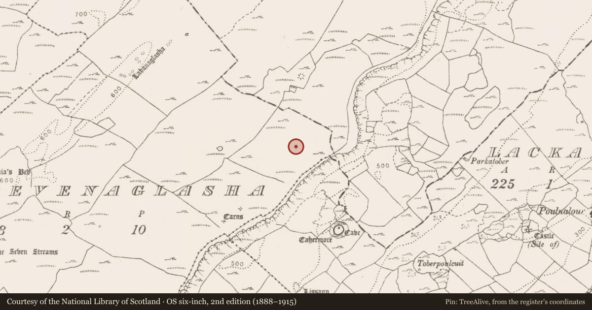 Ordnance Survey six-inch map, 2nd edition (1888–1915) covering the location of Hut site, Slievenaglasha, County Clare, with a pin at the register's coordinates