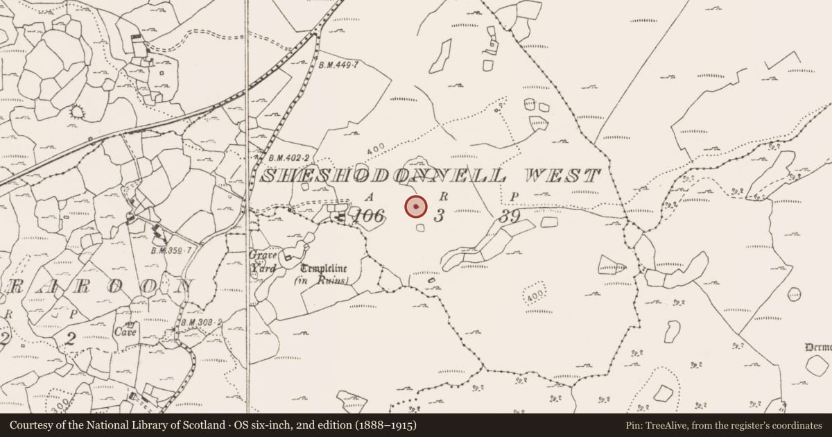 Ordnance Survey six-inch map, 2nd edition (1888–1915) covering the location of Hut site, Sheshodonnell West, County Clare, with a pin at the register's coordinates