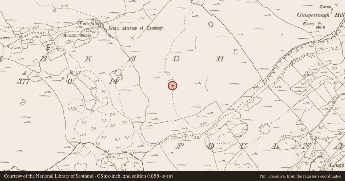 Ordnance Survey six-inch map, 2nd edition (1888–1915) covering the location of Ringfort - cashel, Teeskagh, County Clare, with a pin at the register's coordinates