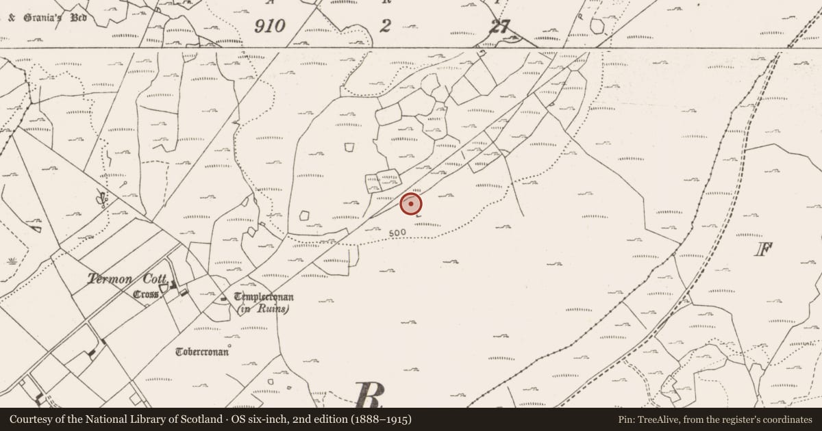 Ordnance Survey six-inch map, 2nd edition (1888–1915) covering the location of Cist, Termon, County Clare, with a pin at the register's coordinates