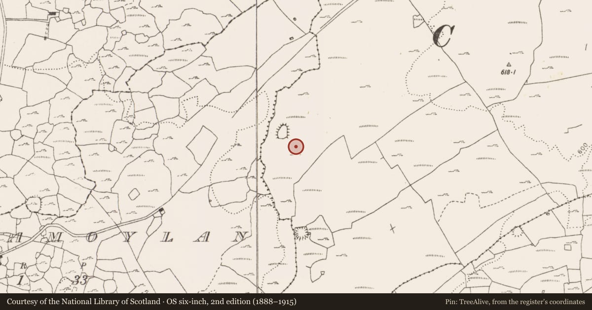 Ordnance Survey six-inch map, 2nd edition (1888–1915) covering the location of Ringfort - cashel, Rannagh West, County Clare, with a pin at the register's coordinates