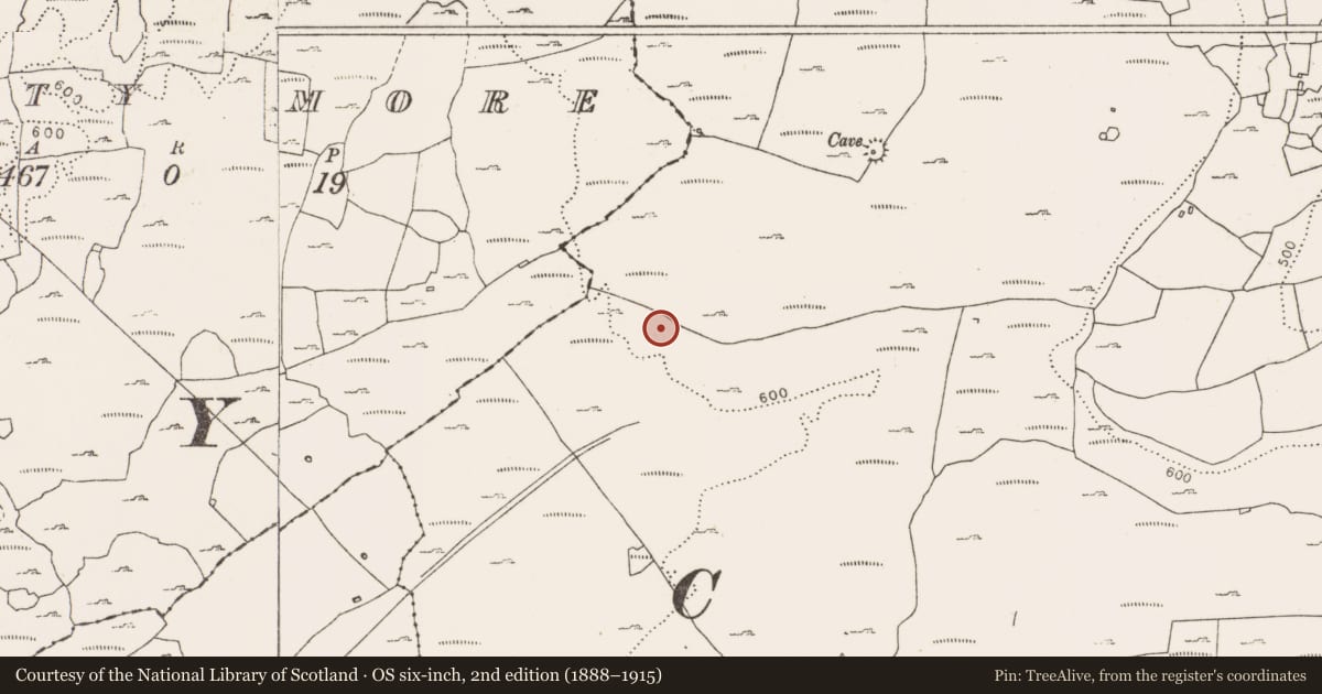 Ordnance Survey six-inch map, 2nd edition (1888–1915) covering the location of Enclosure, Rannagh West, County Clare, with a pin at the register's coordinates