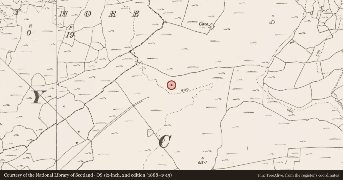 Ordnance Survey six-inch map, 2nd edition (1888–1915) covering the location of Enclosure, Rannagh West, County Clare, with a pin at the register's coordinates