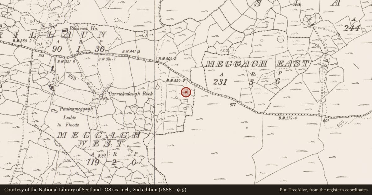 Ordnance Survey six-inch map, 2nd edition (1888–1915) covering the location of Hut site, Meggagh West, County Clare, with a pin at the register's coordinates