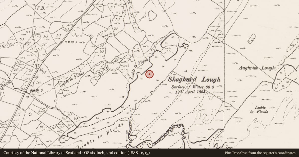 Ordnance Survey six-inch map, 2nd edition (1888–1915) covering the location of Enclosure, Carrownagoul, County Clare, with a pin at the register's coordinates