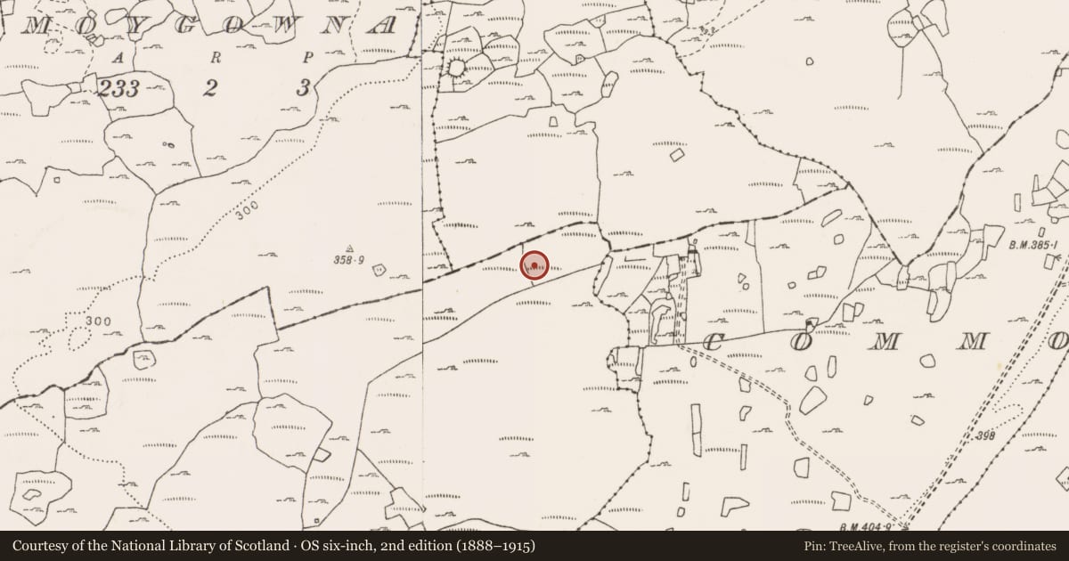 Ordnance Survey six-inch map, 2nd edition (1888–1915) covering the location of Cairn - unclassified, Caherfadda, County Clare, with a pin at the register's coordinates