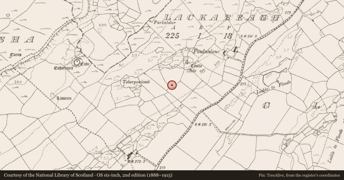 Ordnance Survey six-inch map, 2nd edition (1888–1915) covering the location of Enclosure, Lackareagh, County Clare, with a pin at the register's coordinates