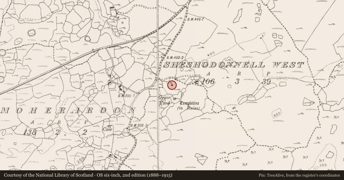 Ordnance Survey six-inch map, 2nd edition (1888–1915) covering the location of Enclosure, Ballyline, Sheshodonnell West, County Clare, with a pin at the register's coordinates