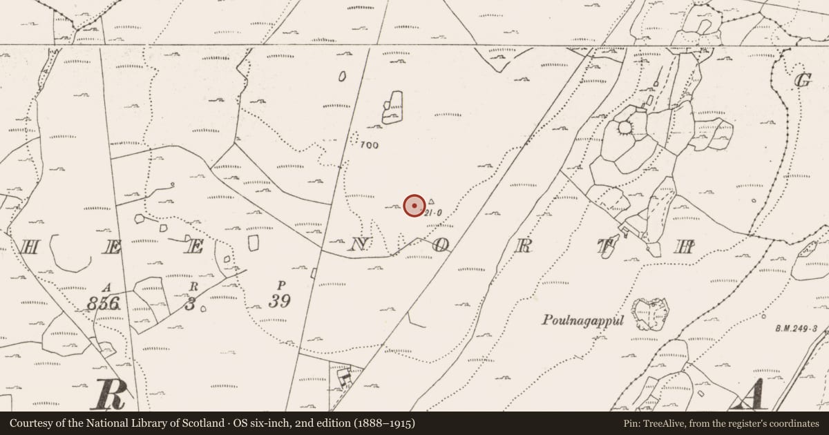 Ordnance Survey six-inch map, 2nd edition (1888–1915) covering the location of Enclosure, Fahee North, County Clare, with a pin at the register's coordinates