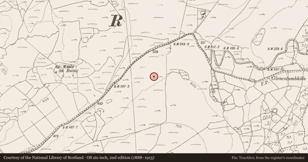 Ordnance Survey six-inch map, 2nd edition (1888–1915) covering the location of Enclosure, Fahee South, County Clare, with a pin at the register's coordinates