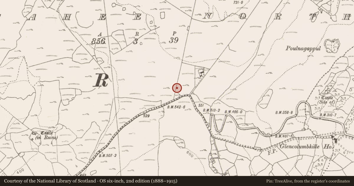 Ordnance Survey six-inch map, 2nd edition (1888–1915) covering the location of Penitential station, Fahee North, County Clare, with a pin at the register's coordinates