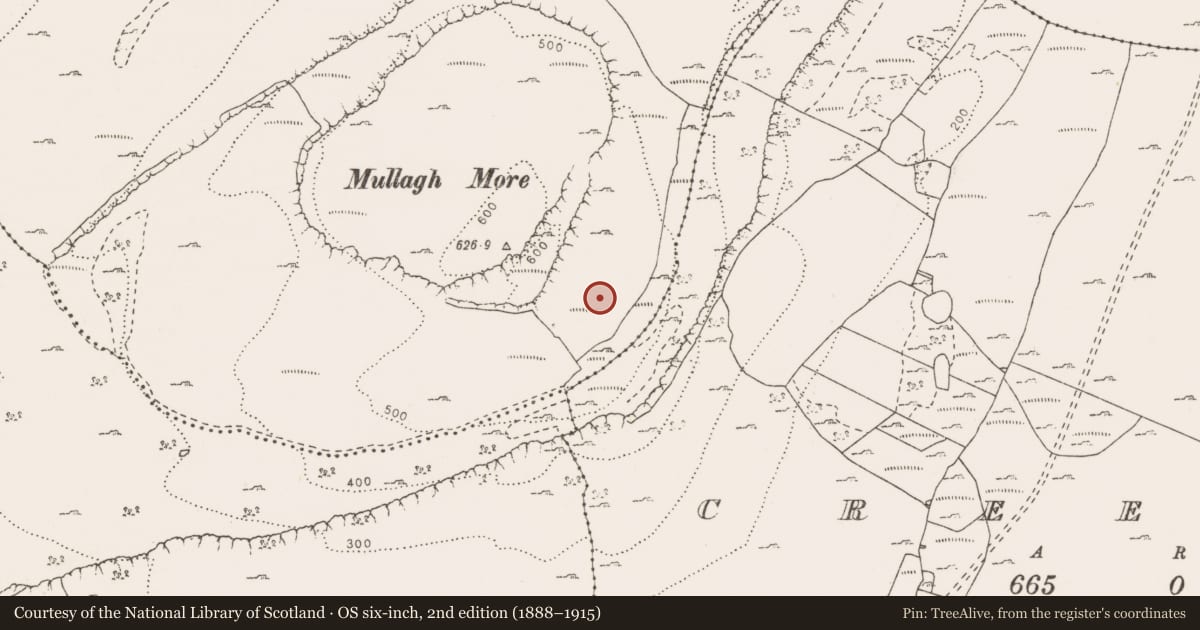 Ordnance Survey six-inch map, 2nd edition (1888–1915) covering the location of Hut site, Glenquin, County Clare, with a pin at the register's coordinates