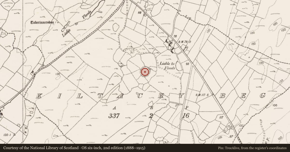 Ordnance Survey six-inch map, 2nd edition (1888–1915) covering the location of Ringfort - cashel, Kiltacky Beg, County Clare, with a pin at the register's coordinates