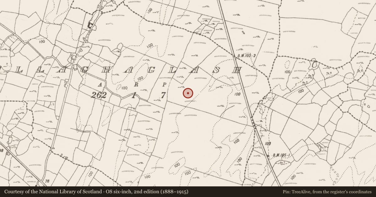 Ordnance Survey six-inch map, 2nd edition (1888–1915) covering the location of Megalithic tomb - wedge tomb, Ballaghaglash, County Clare, with a pin at the register's coordinates