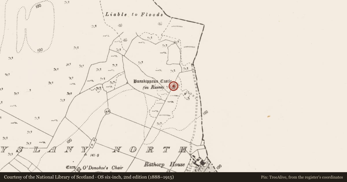 Ordnance Survey six-inch map, 2nd edition (1888–1915) covering the location of Castle - unclassified, Attyslany North, County Clare, with a pin at the register's coordinates