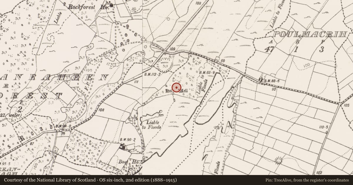 Ordnance Survey six-inch map, 2nd edition (1888–1915) covering the location of Ritual site - holy well, Treanmanagh, County Clare, with a pin at the register's coordinates
