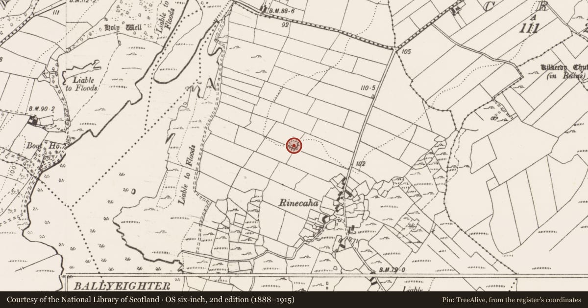 Ordnance Survey six-inch map, 2nd edition (1888–1915) covering the location of Ringfort - rath, Rinecaha, County Clare, with a pin at the register's coordinates