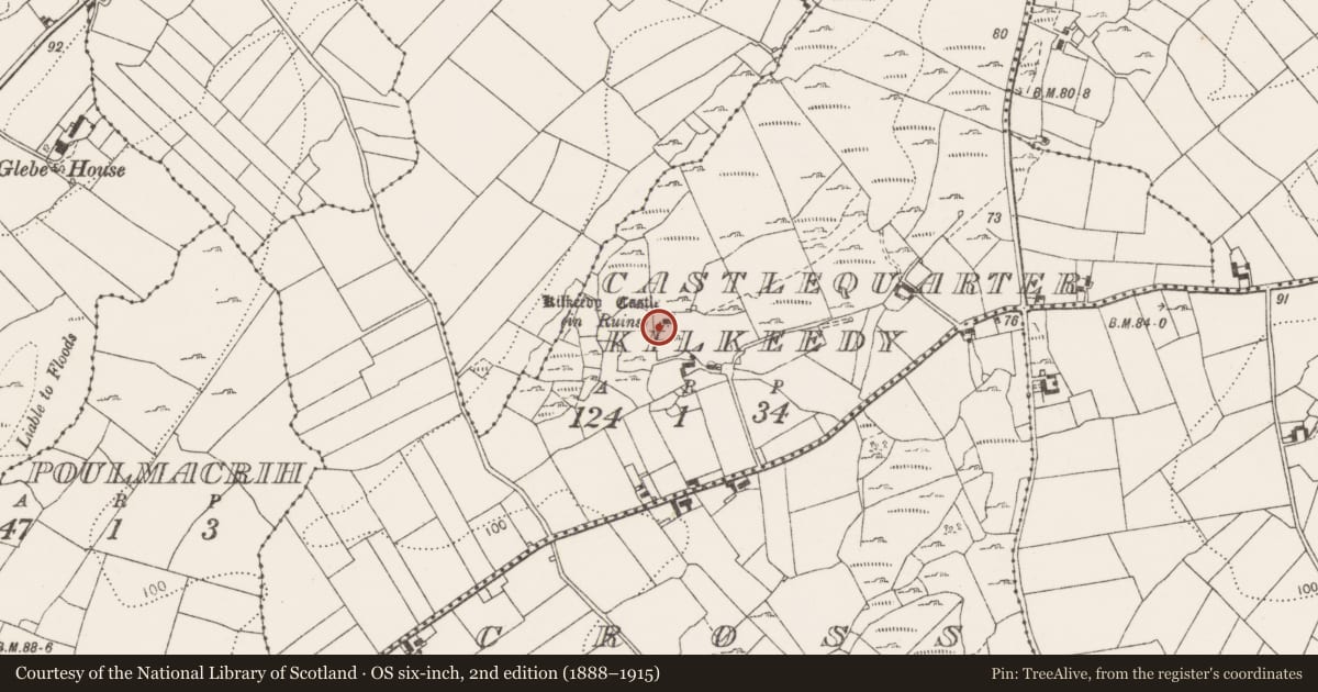 Ordnance Survey six-inch map, 2nd edition (1888–1915) covering the location of Bawn, Castlequarter Kilkeedy, County Clare, with a pin at the register's coordinates