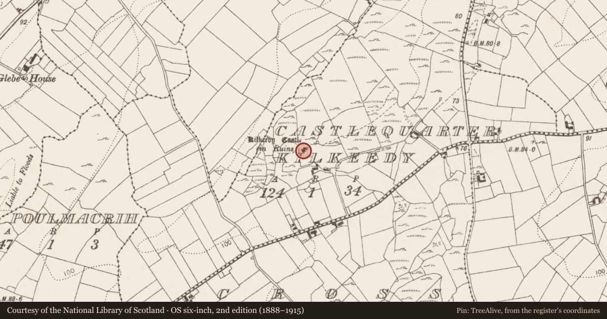 Ordnance Survey six-inch map, 2nd edition (1888–1915) covering the location of Castle - tower house, Castlequarter Kilkeedy, County Clare, with a pin at the register's coordinates