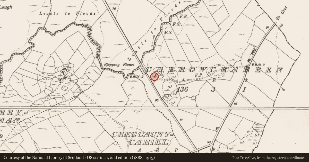 Ordnance Survey six-inch map, 2nd edition (1888–1915) covering the location of Enclosure, Carrowcraheen, County Clare, with a pin at the register's coordinates