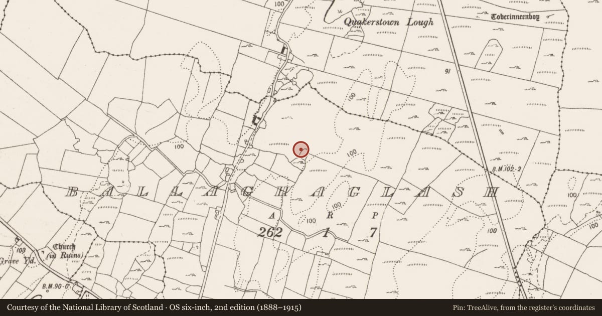 Ordnance Survey six-inch map, 2nd edition (1888–1915) covering the location of Enclosure, Ballaghaglash, County Clare, with a pin at the register's coordinates