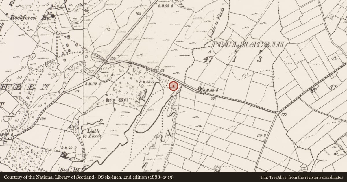 Ordnance Survey six-inch map, 2nd edition (1888–1915) covering the location of Barrow - ring-barrow, Rinecaha, County Clare, with a pin at the register's coordinates