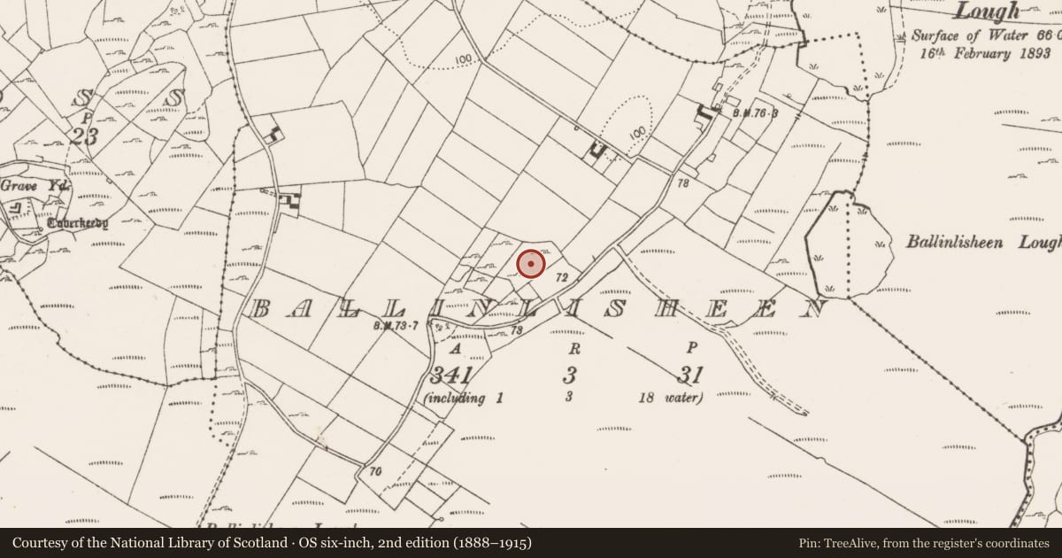 Ordnance Survey six-inch map, 2nd edition (1888–1915) covering the location of Ringfort - cashel, Ballinlisheen, County Clare, with a pin at the register's coordinates