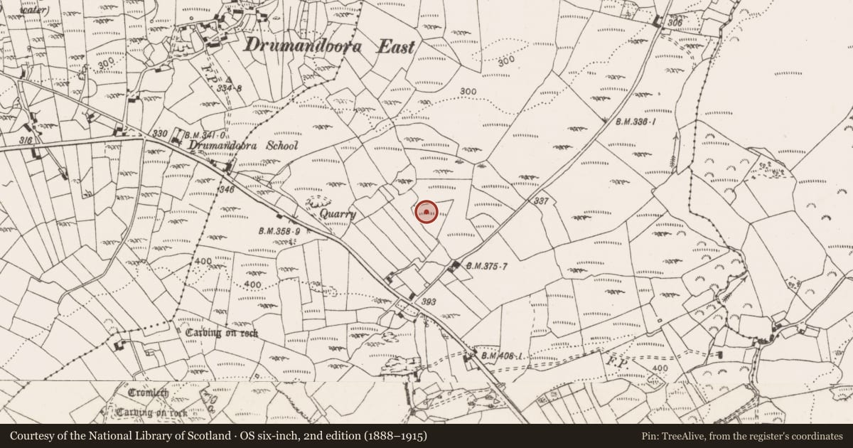 Ordnance Survey six-inch map, 2nd edition (1888–1915) covering the location of Megalithic structure, Corbehagh, County Clare, with a pin at the register's coordinates