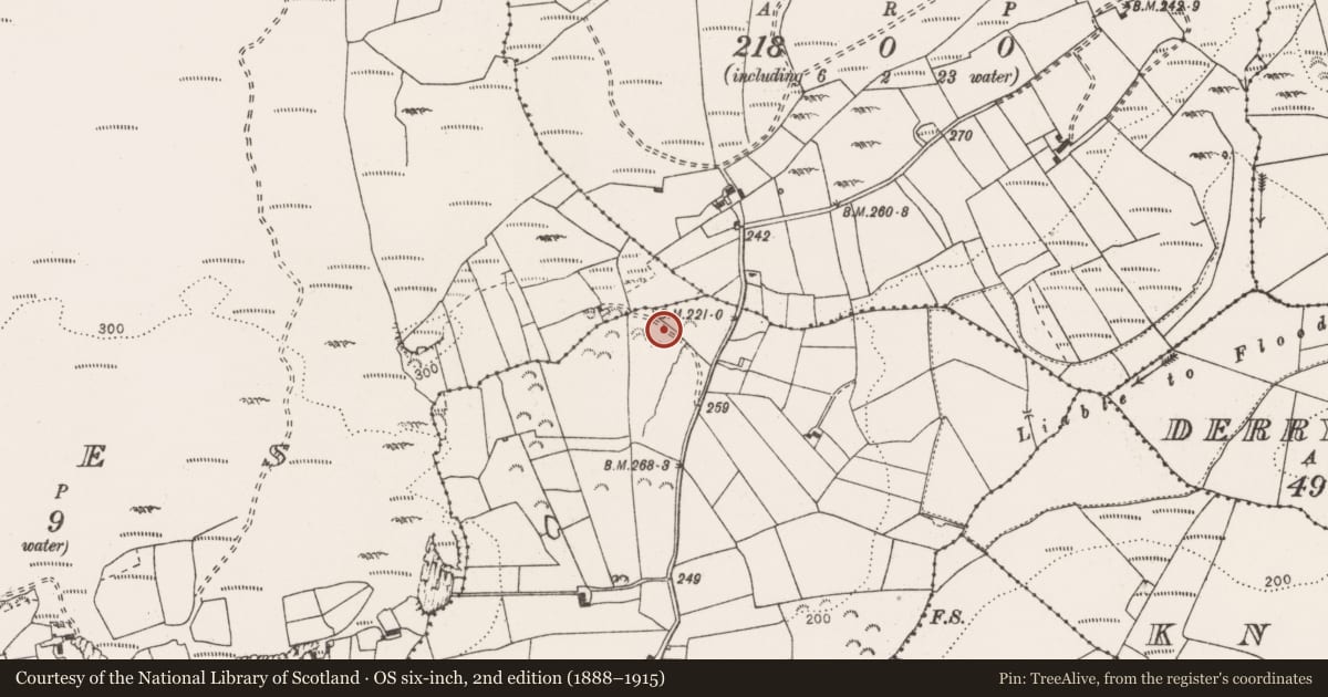 Ordnance Survey six-inch map, 2nd edition (1888–1915) covering the location of Standing stone, Derryfadda, County Clare, with a pin at the register's coordinates