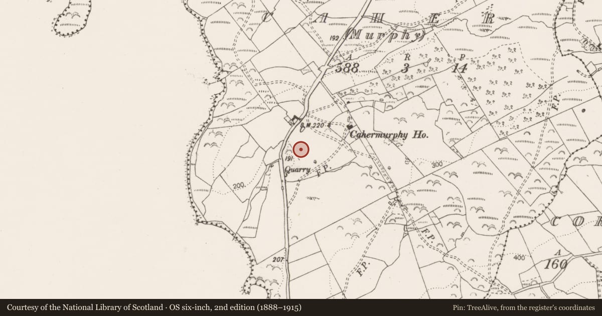 Ordnance Survey six-inch map, 2nd edition (1888–1915) covering the location of Ringfort - rath, Caher (Murphy), Caher (Murphy), County Clare, with a pin at the register's coordinates