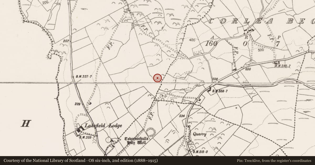 Ordnance Survey six-inch map, 2nd edition (1888–1915) covering the location of Ringfort - rath, Caher, County Clare, with a pin at the register's coordinates