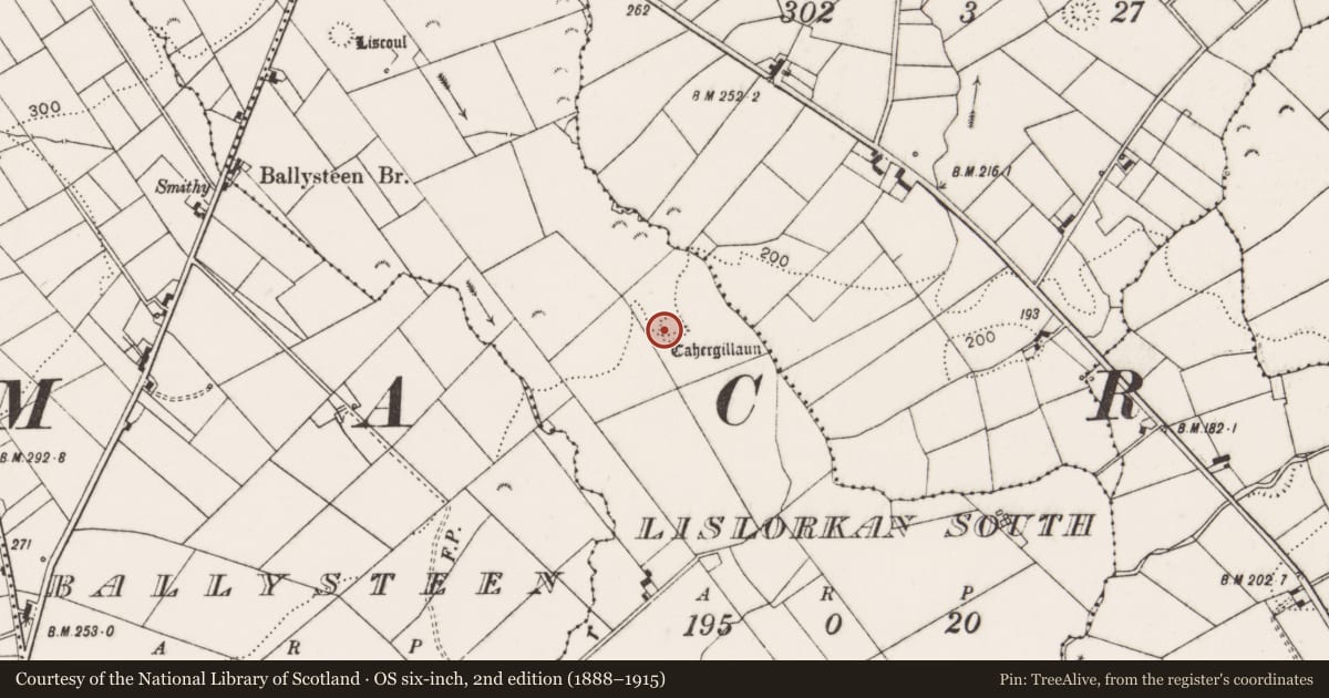 Ordnance Survey six-inch map, 2nd edition (1888–1915) covering the location of Ringfort - cashel, Lislorkan South, County Clare, with a pin at the register's coordinates
