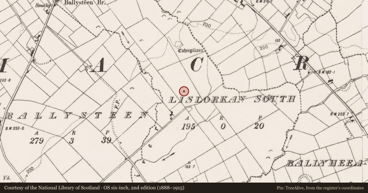 Ordnance Survey six-inch map, 2nd edition (1888–1915) covering the location of Ringfort - cashel, Lislorkan South, County Clare, with a pin at the register's coordinates