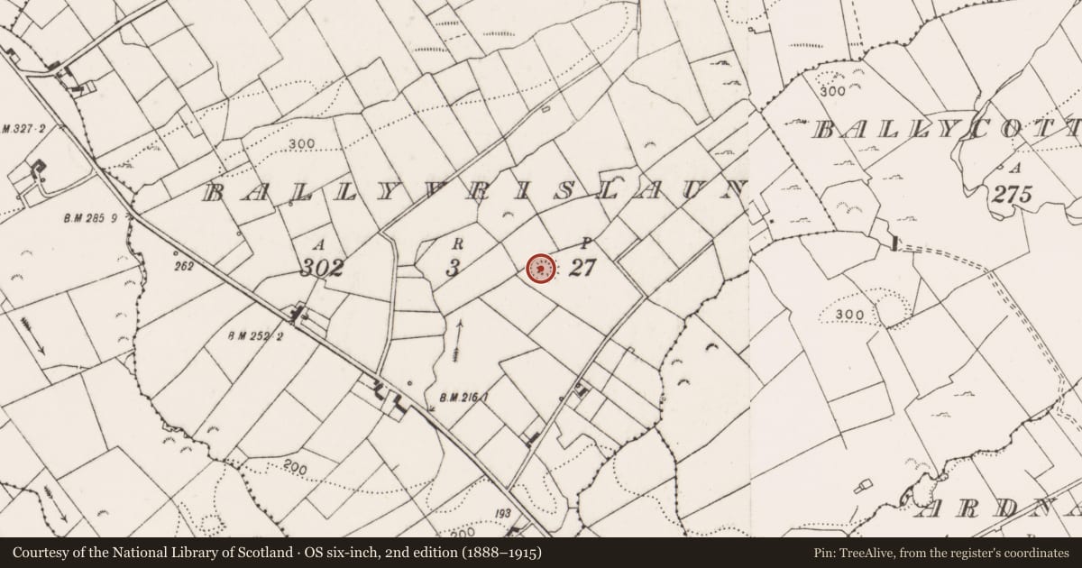 Ordnance Survey six-inch map, 2nd edition (1888–1915) covering the location of Ringfort - rath, Ballyvrislaun, County Clare, with a pin at the register's coordinates