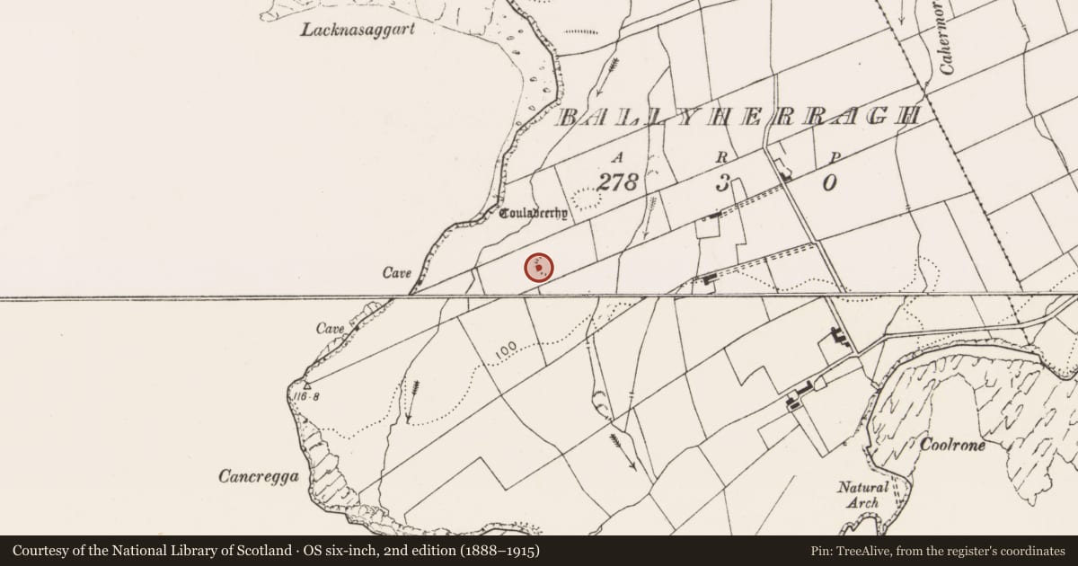 Ordnance Survey six-inch map, 2nd edition (1888–1915) covering the location of Ringfort - rath, Ballyherragh, County Clare, with a pin at the register's coordinates
