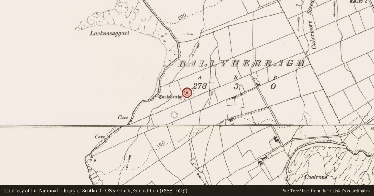 Ordnance Survey six-inch map, 2nd edition (1888–1915) covering the location of Enclosure, Ballyherragh, County Clare, with a pin at the register's coordinates
