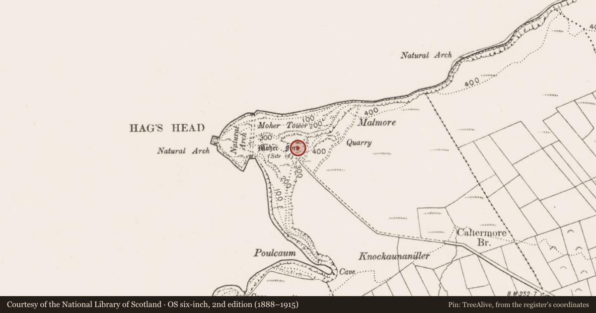 Ordnance Survey six-inch map, 2nd edition (1888–1915) covering the location of Promontory fort - coastal, Ballylaan, County Clare, with a pin at the register's coordinates