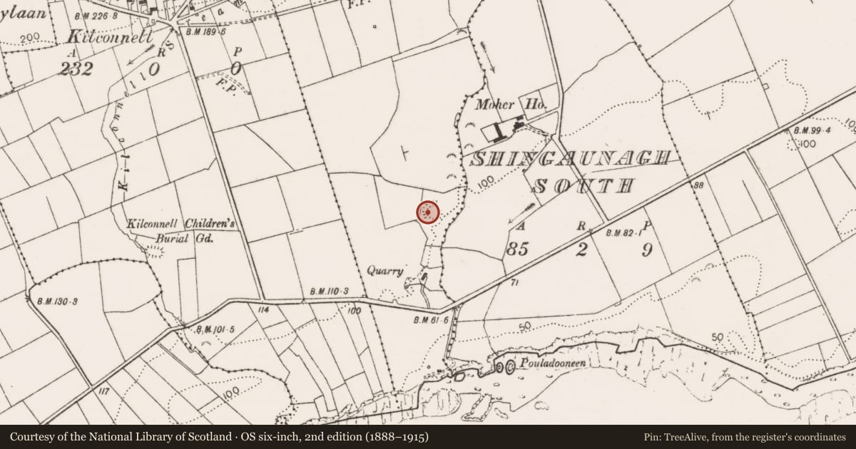 Ordnance Survey six-inch map, 2nd edition (1888–1915) covering the location of Ringfort - rath, Ballynalackan, County Clare, with a pin at the register's coordinates