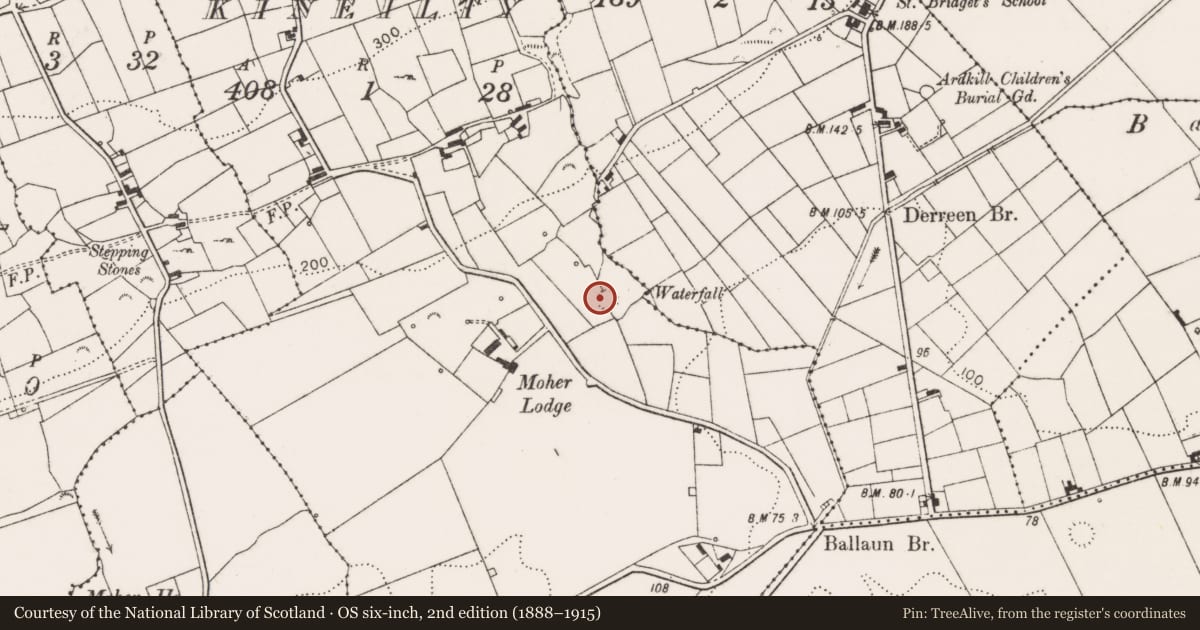 Ordnance Survey six-inch map, 2nd edition (1888–1915) covering the location of Ringfort - rath, Kineilty, County Clare, with a pin at the register's coordinates