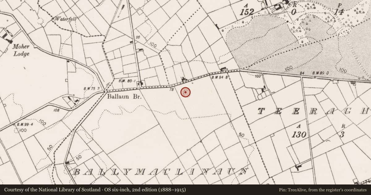 Ordnance Survey six-inch map, 2nd edition (1888–1915) covering the location of Ringfort - rath, Ballymaclinaun, County Clare, with a pin at the register's coordinates