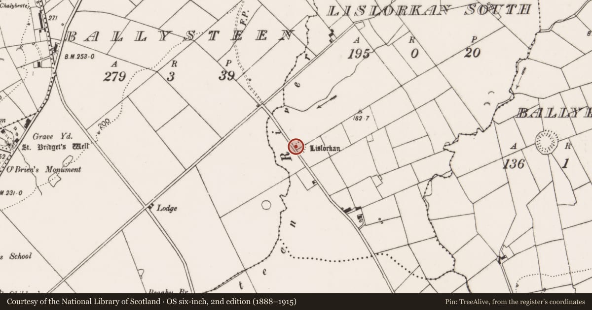 Ordnance Survey six-inch map, 2nd edition (1888–1915) covering the location of Ringfort - cashel, Lislorkan South, County Clare, with a pin at the register's coordinates